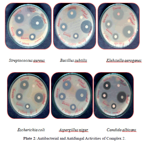 der-chemica-sinica-Antifungal-Activities