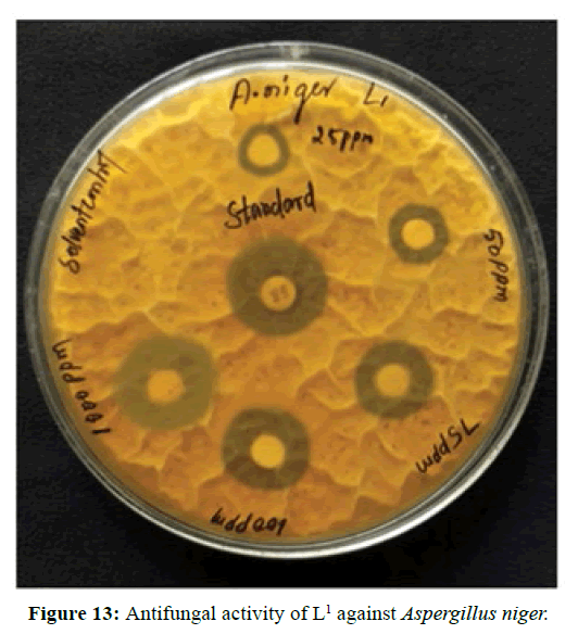 der-chemica-sinica-Antifungal-activity