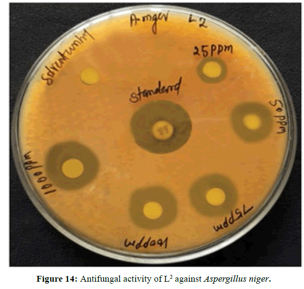 der-chemica-sinica-Antifungal-activity