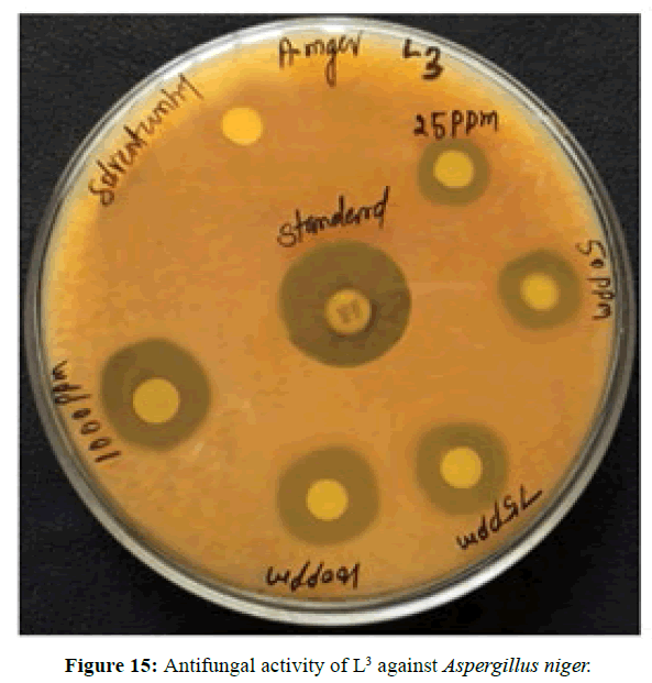 der-chemica-sinica-Antifungal-activity