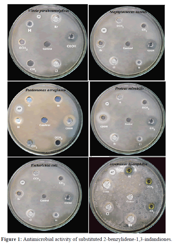 der-chemica-sinica-Antimicrobial-activity