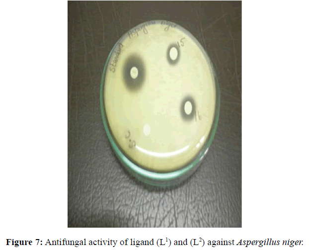 der-chemica-sinica-Aspergillus-niger