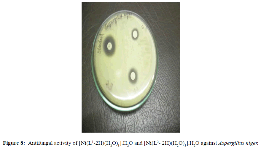 der-chemica-sinica-Aspergillus-niger