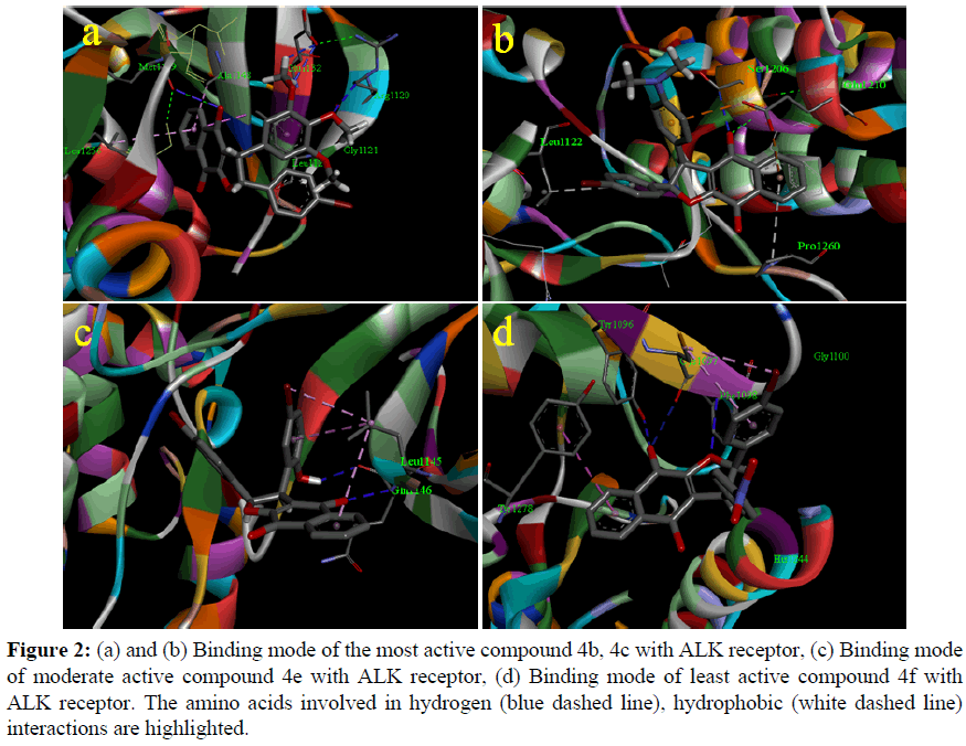 der-chemica-sinica-Binding-mode