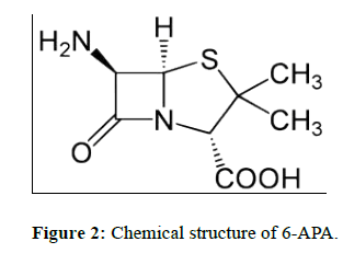 der-chemica-sinica-Chemical-structure-6-APA