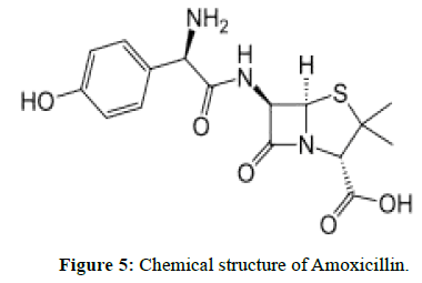 der-chemica-sinica-Chemical-structure-Amoxicillin