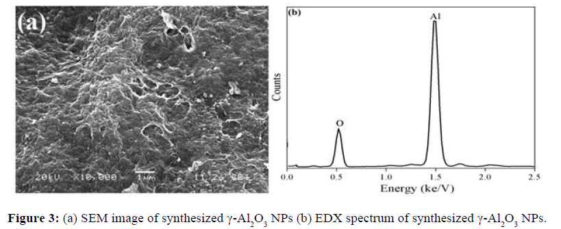 der-chemica-sinica-EDX-spectrum