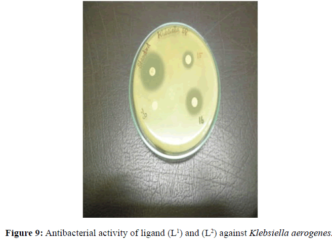 der-chemica-sinica-Klebsiella-aerogenes