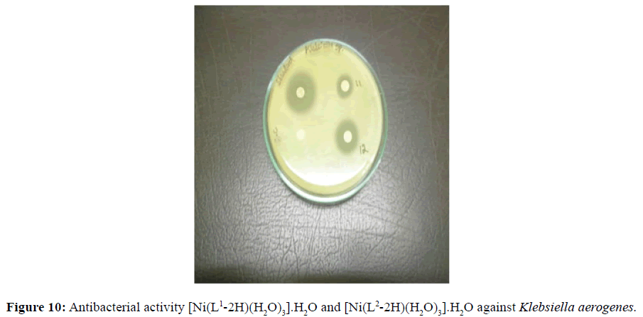 der-chemica-sinica-Klebsiella-aerogenes