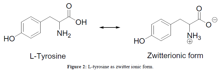 der-chemica-sinica-L-tyrosine-zwitter-ionic