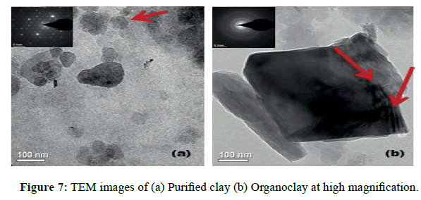 der-chemica-sinica-Organoclay-high-magnification