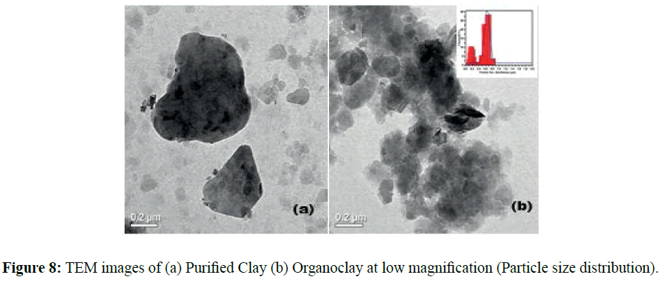 der-chemica-sinica-Organoclay-low-magnification