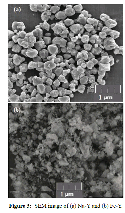 der-chemica-sinica-SEM-image