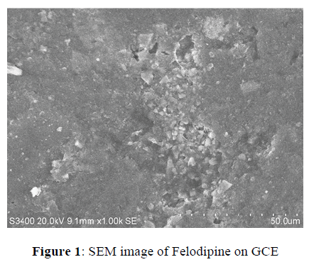 der-chemica-sinica-SEM-image