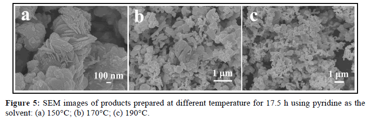 der-chemica-sinica-SEM-images