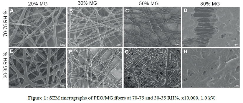 der-chemica-sinica-SEM-micrographs