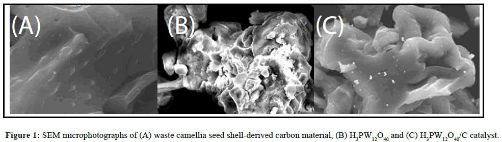 der-chemica-sinica-SEM-microphotographs