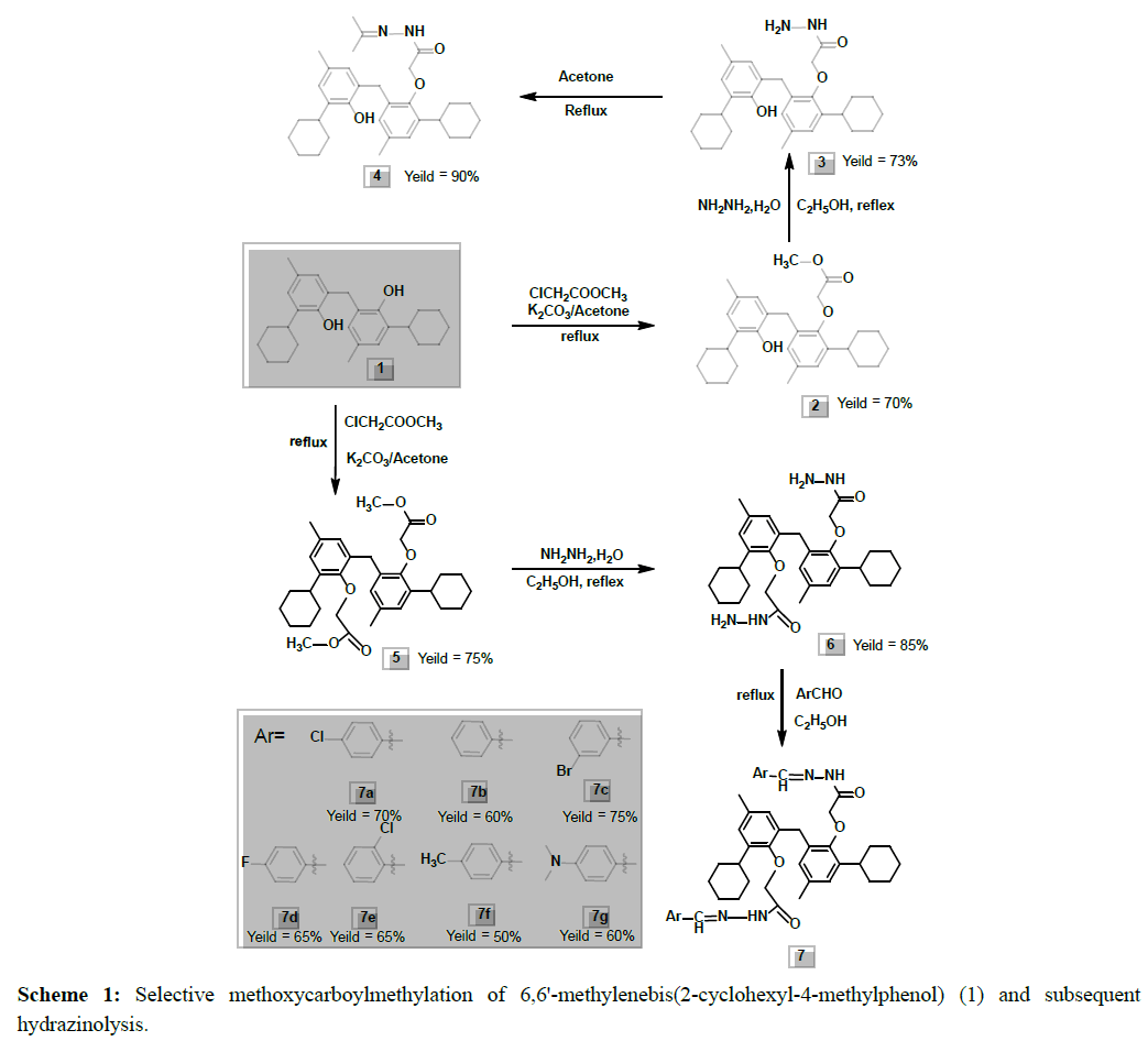 der-chemica-sinica-Selective-methoxycarboylmethylation