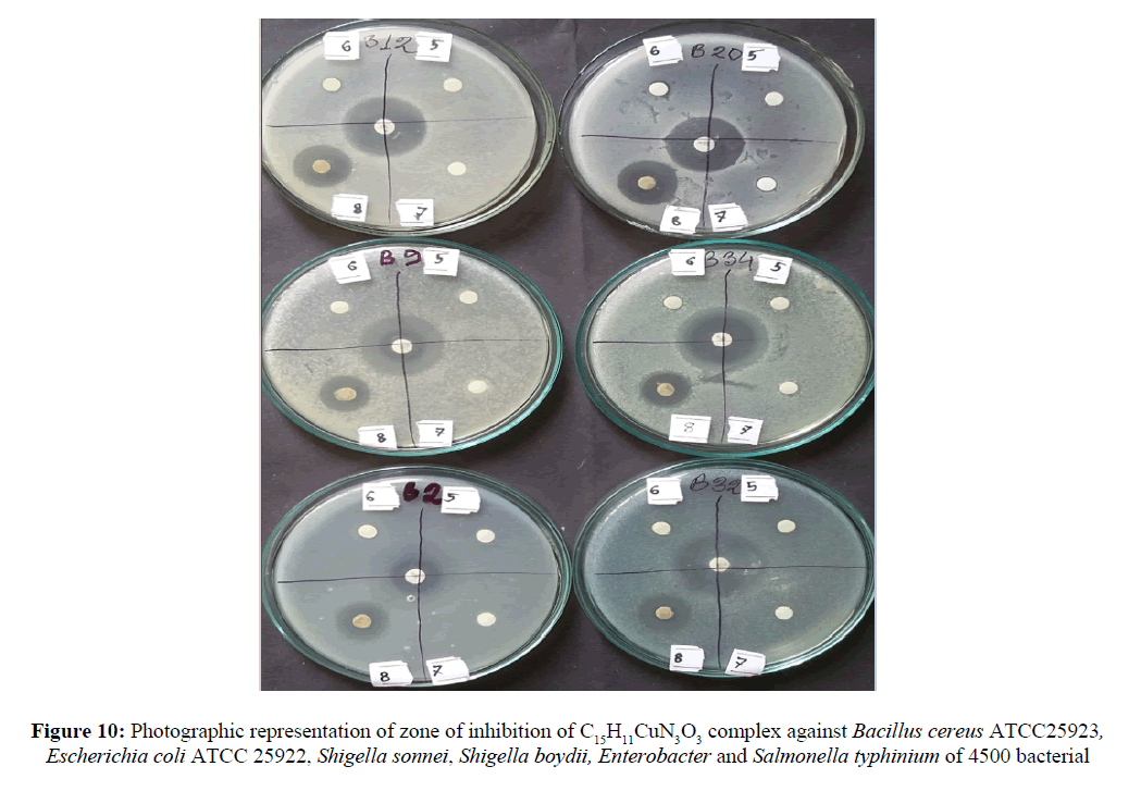 der-chemica-sinica-Shigella-boydii