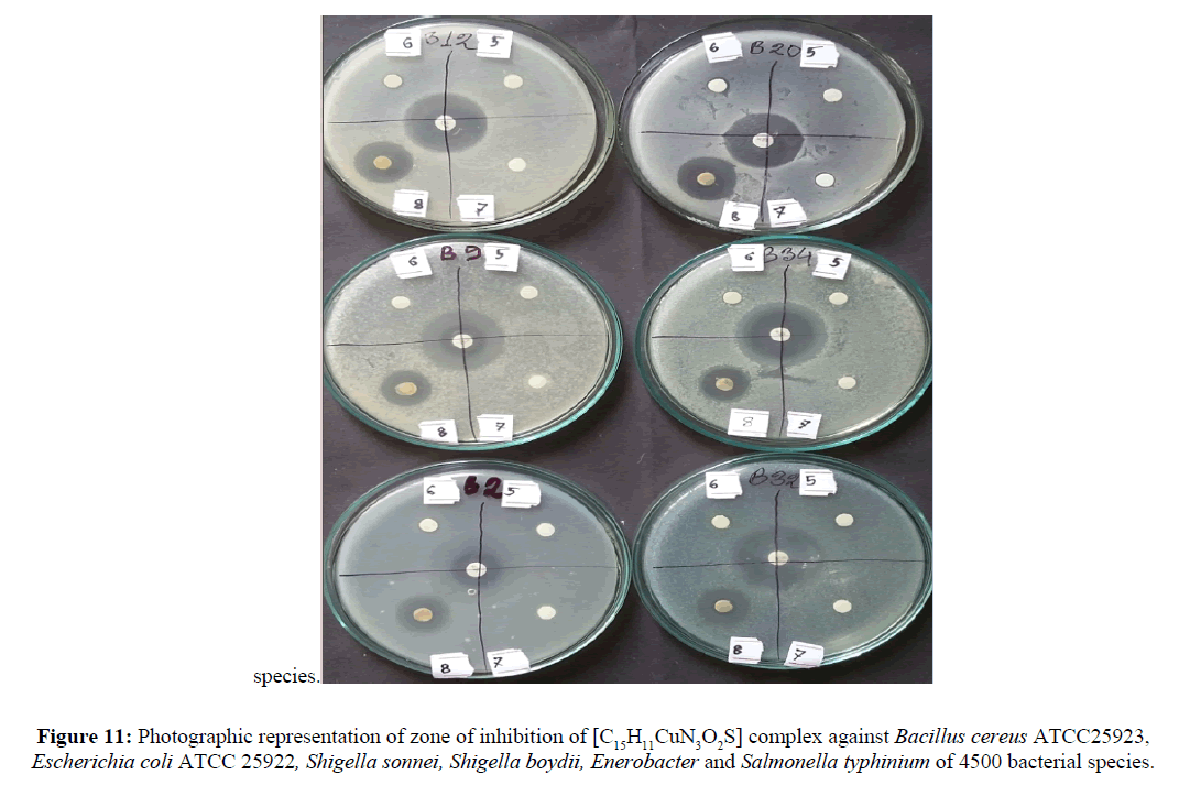 der-chemica-sinica-Shigella-sonnei