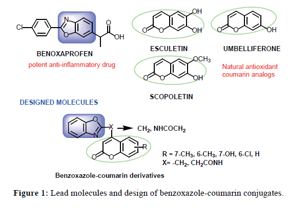 der-chemica-sinica-benzoxazole-coumarin