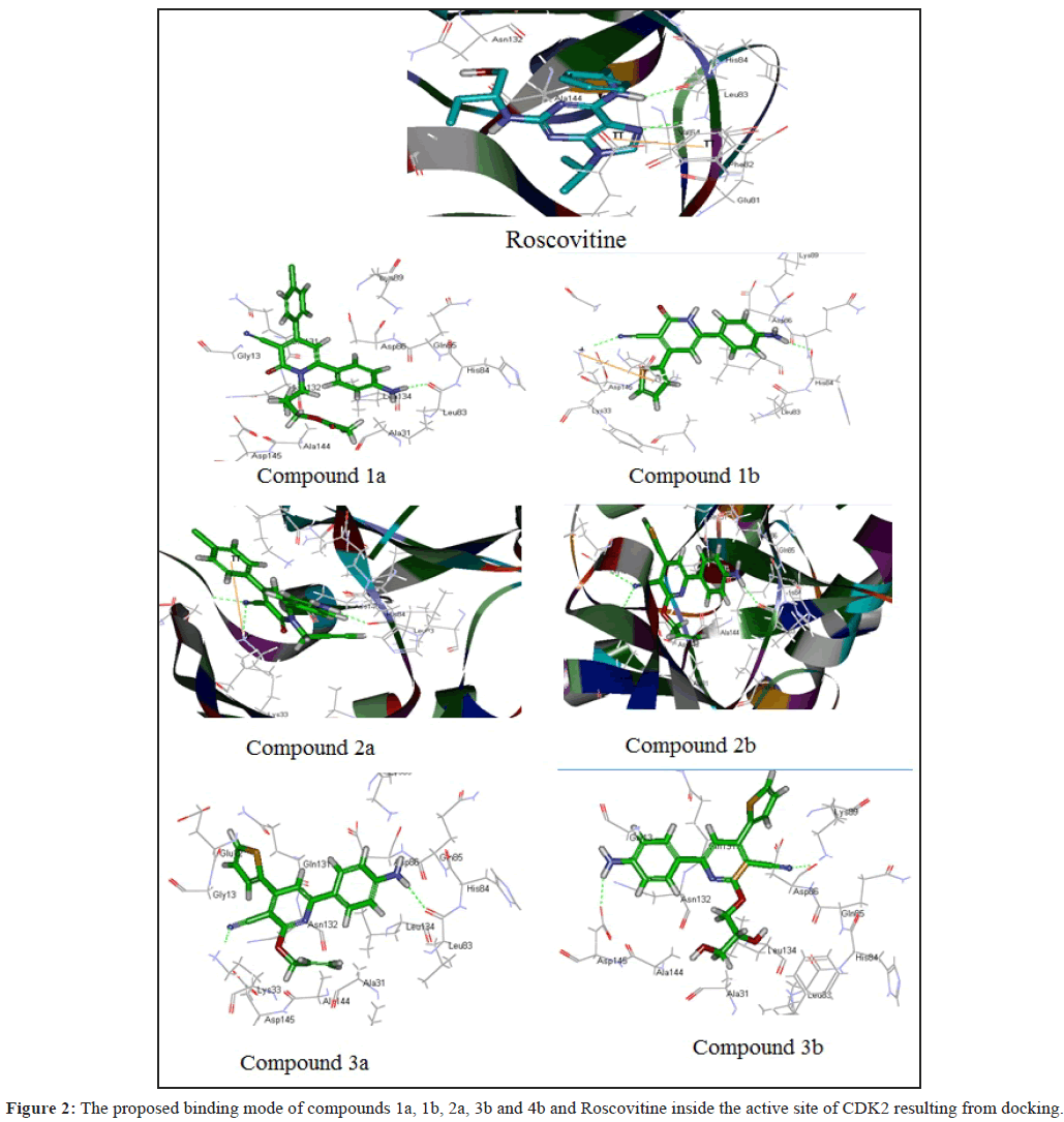 der-chemica-sinica-binding-mode