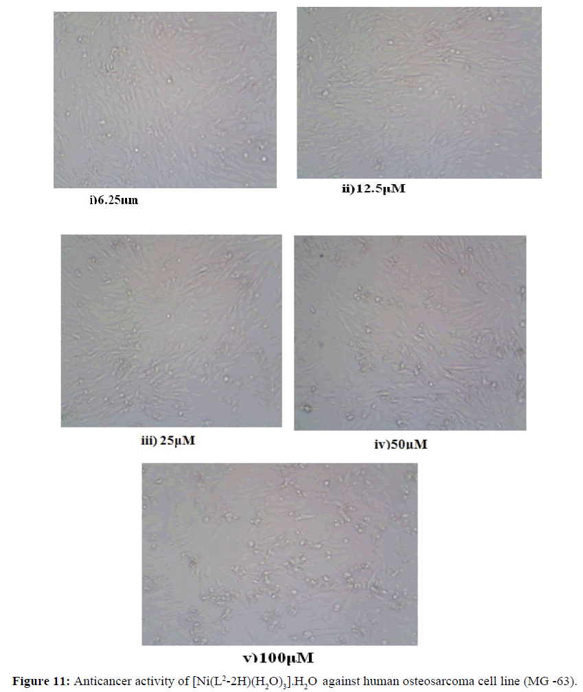 der-chemica-sinica-cell-line