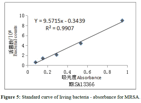 der-chemica-sinica-curve-living-bacteria