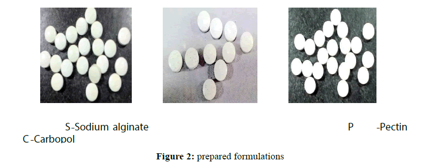 der-chemica-sinica-prepared-formulations