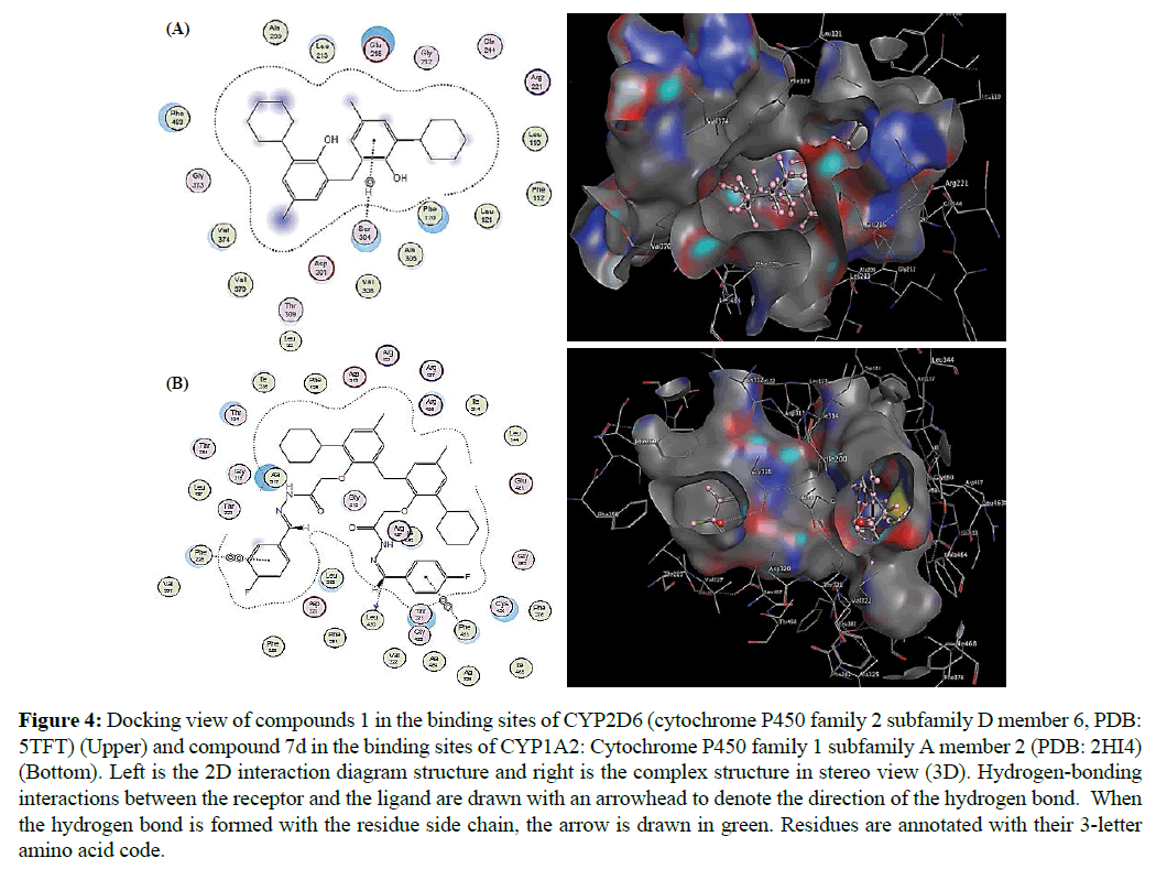 der-chemica-sinica-residue-side-chain