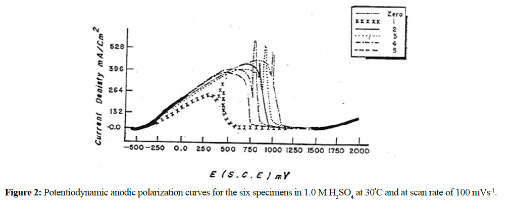 der-chemica-sinica-six-specimens