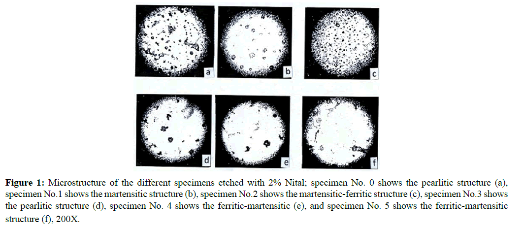 der-chemica-sinica-specimens-etched