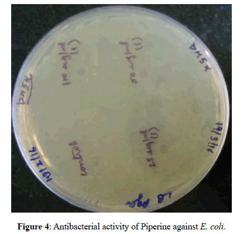 der-pharmacia-sinica-Antibacterial-activity