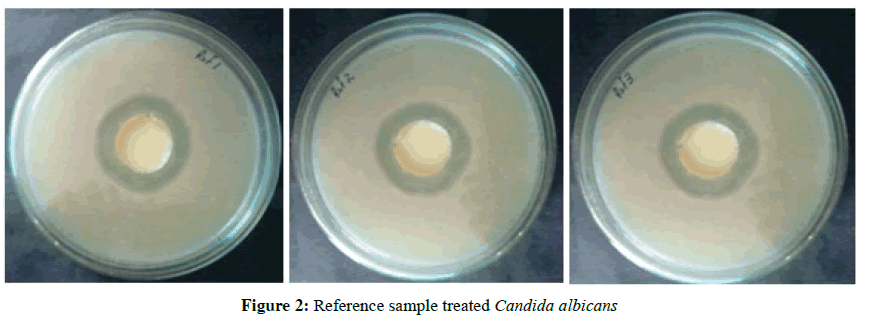 der-pharmacia-sinica-Candida-albicans