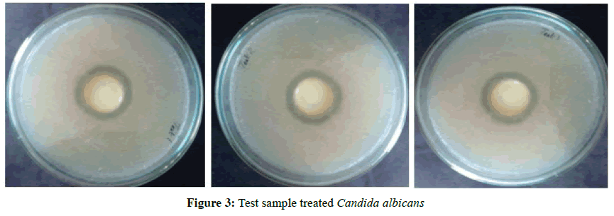 der-pharmacia-sinica-Candida-albicans