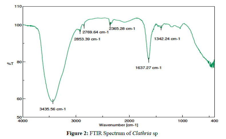 der-pharmacia-sinica-FTIR-Spectrum