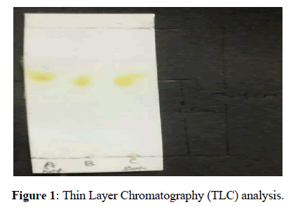 der-pharmacia-sinica-Layer-Chromatography