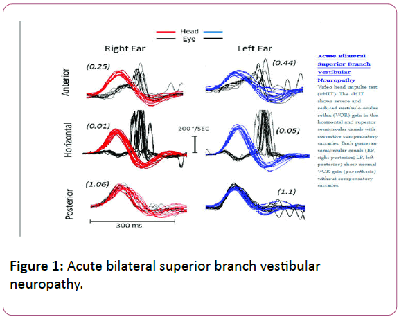 ear-nose-throat-superior-branch