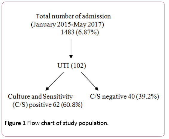 emergency-internal-medicine-study-population