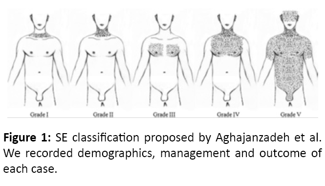 emergency-medicine-SE-classification