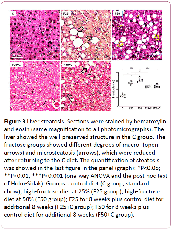 endocrinology-metabolism-open-access-well-preserved