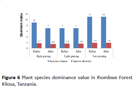 environmental-research-Forest-Kilosa