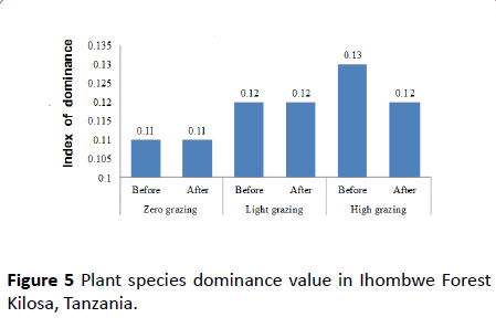 environmental-research-Ihombwe-Forest