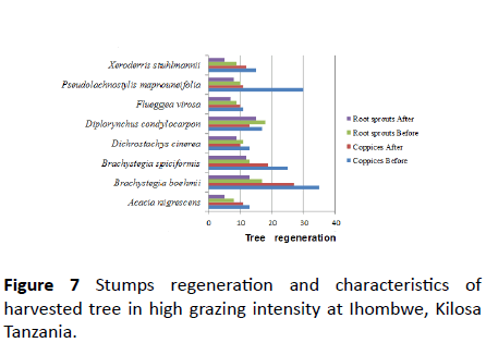 environmental-research-Stumps-regeneration