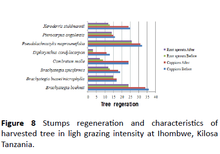 environmental-research-ligh-grazing