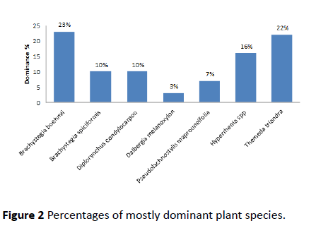 environmental-research-mostly-dominant