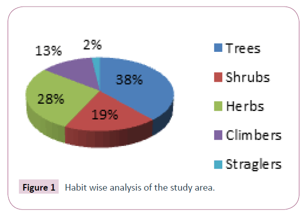 ethnomedicine-analysis