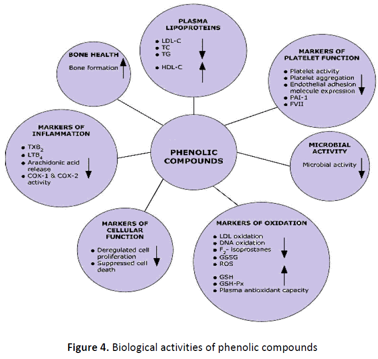 ethnomedicine-biological-phenolic-compounds