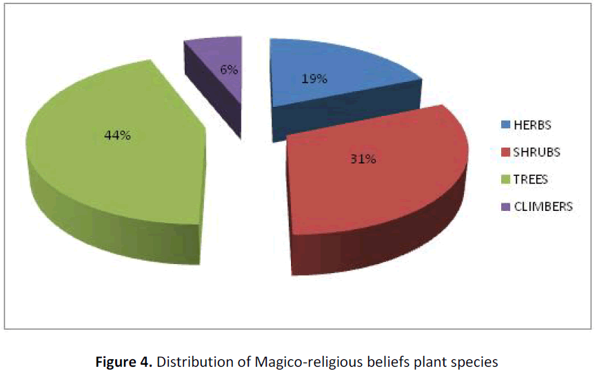 ethnomedicine-distribution-magico-religious