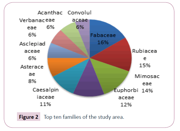 ethnomedicine-families